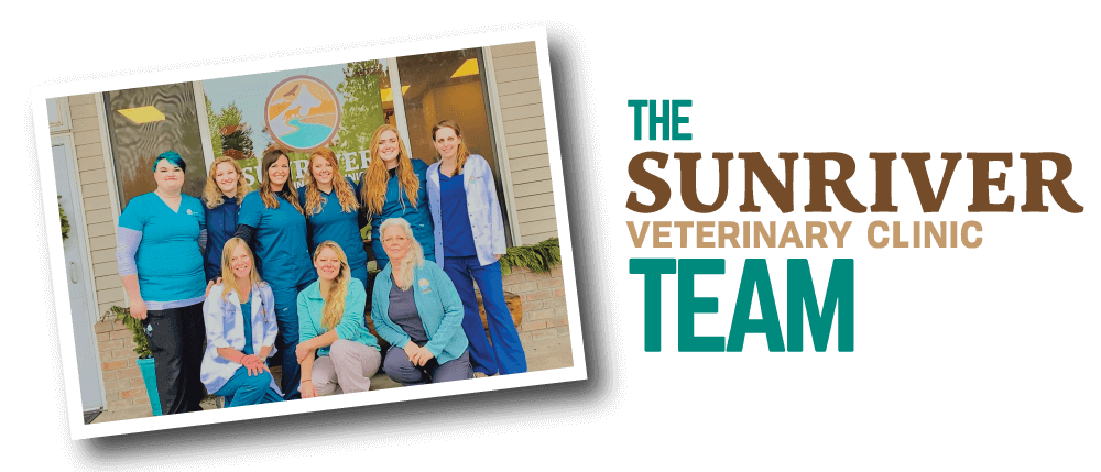 The Sunriver Veterinary Clinic Team