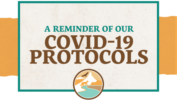 Coronavirus Updates