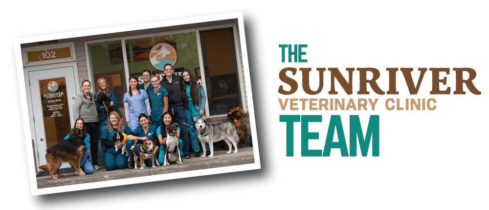 The Sunriver Veterinary Clinic Team